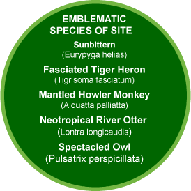 Chilamate emblematic species