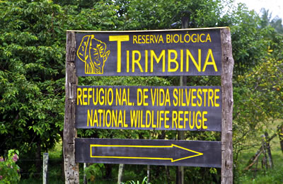 Tirimbina Rainforest Center, photo by Andrew Rothman