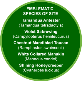 Eco-Lodge Yatama emblematic species